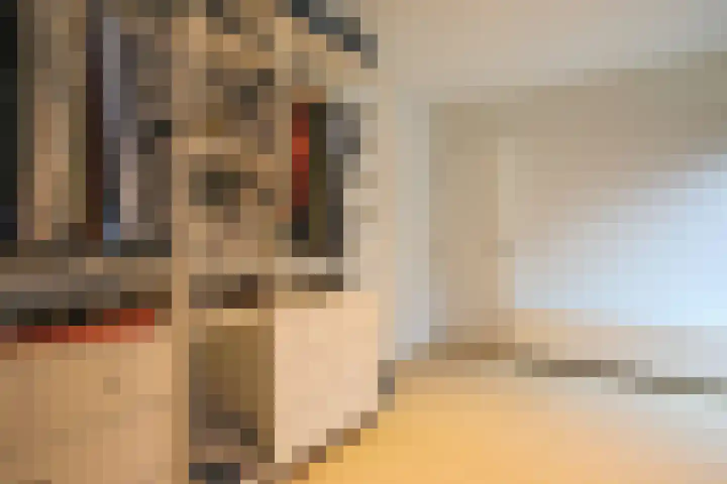 Heuvelsweg 3650 Dilsen-Stokkem Grevenbicht thumbnail 35