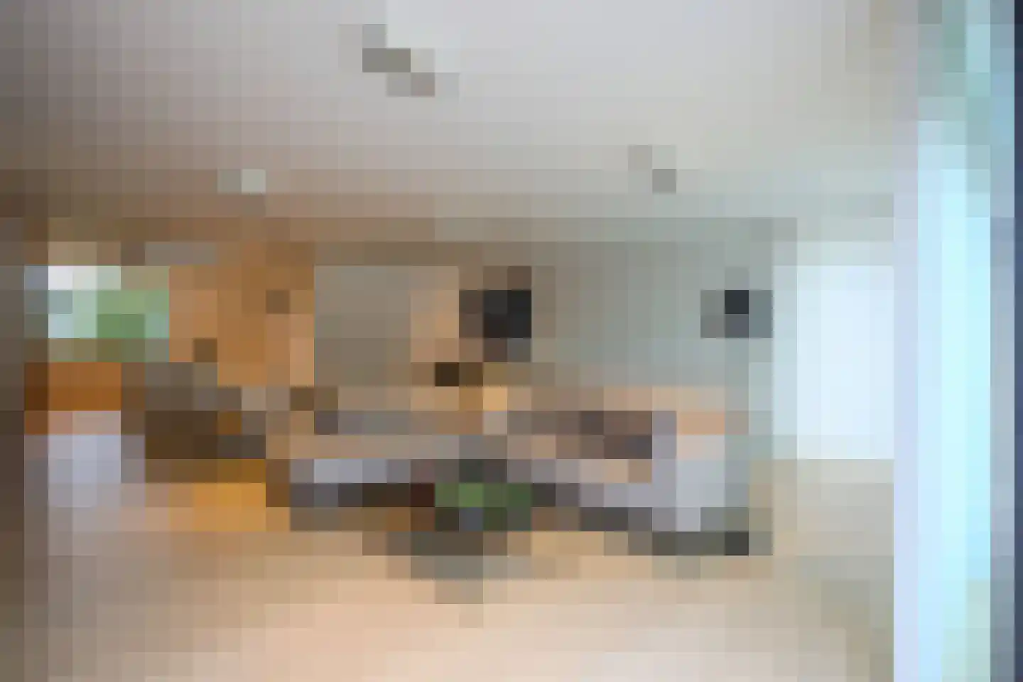 Heuvelsweg 3650 Dilsen-Stokkem Grevenbicht thumbnail 5