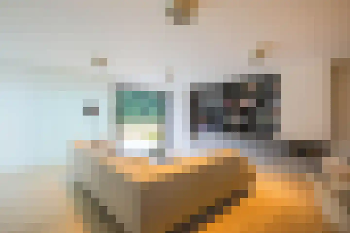 Heuvelsweg 3650 Dilsen-Stokkem Grevenbicht thumbnail 6