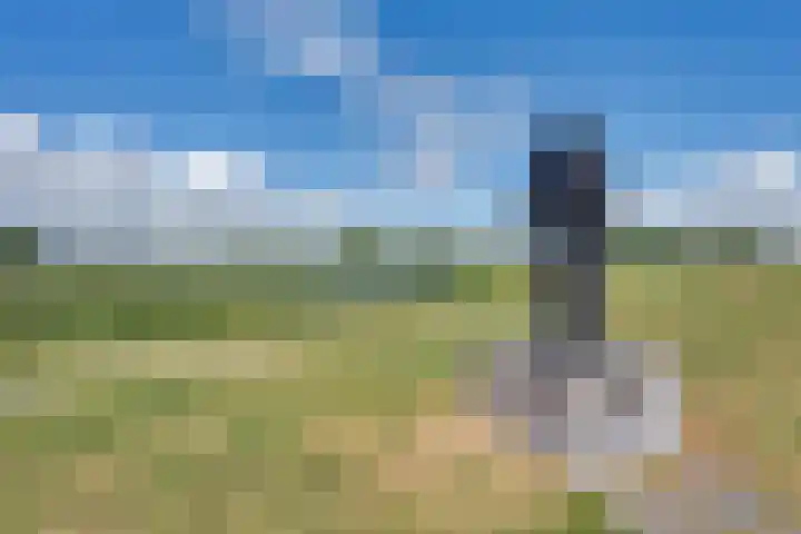 Heuveltje 1 Werkendam thumbnail 23