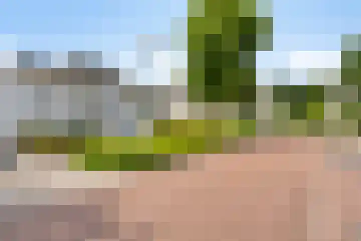 Heuvelwal 1 Veldhoven thumbnail 10