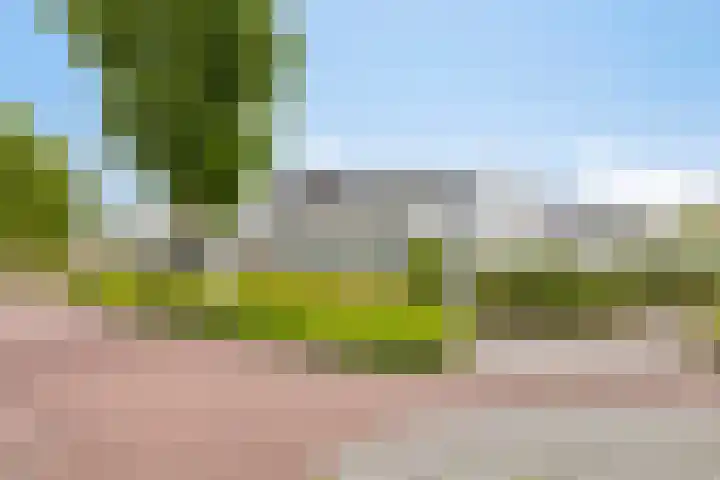 Heuvelwal 1 Veldhoven thumbnail 11