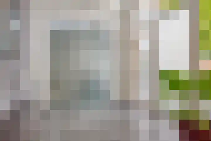 Heuvelwal 1 Veldhoven thumbnail 12