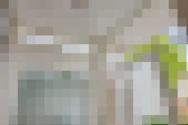 Heuvelwal 1 Veldhoven thumbnail 13