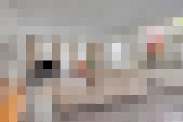 Heuvelwal 1 Veldhoven thumbnail 16