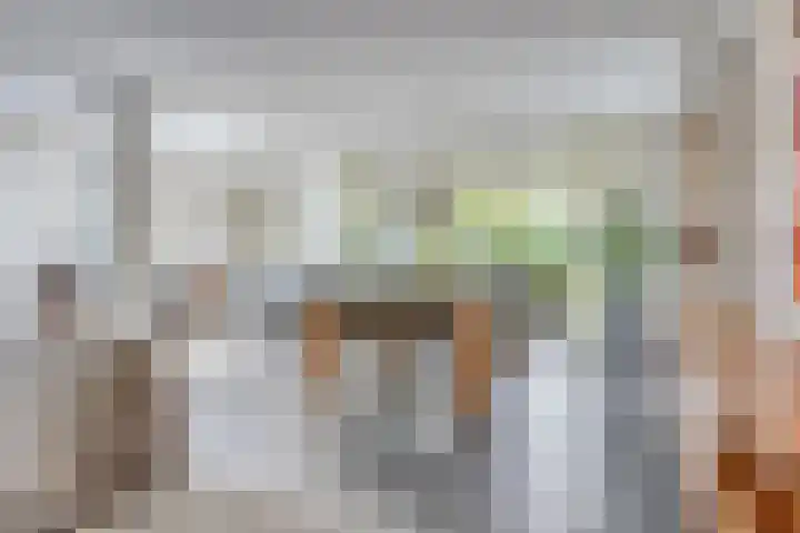 Heuvelwal 1 Veldhoven thumbnail 20