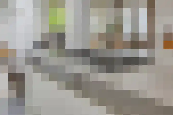 Heuvelwal 1 Veldhoven thumbnail 25