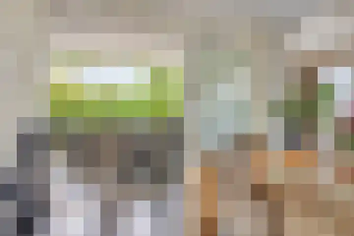 Heuvelwal 1 Veldhoven thumbnail 33