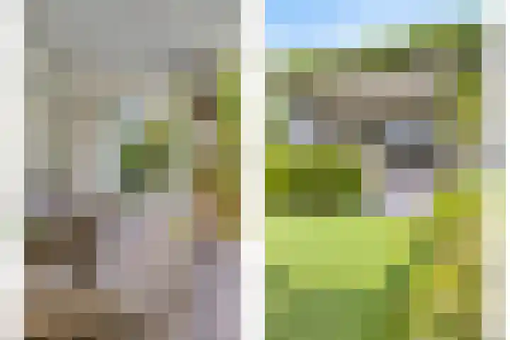 Heuvelwal 1 Veldhoven thumbnail 35