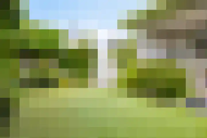 Heuvelwal 1 Veldhoven thumbnail 36