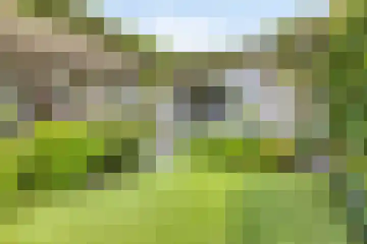Heuvelwal 1 Veldhoven thumbnail 37