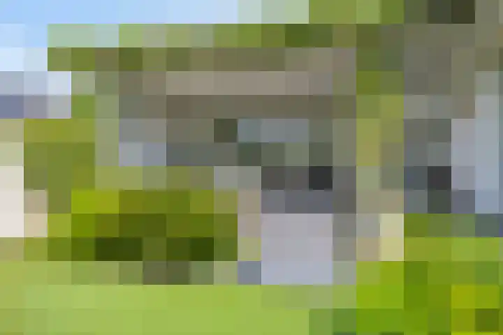 Heuvelwal 1 Veldhoven thumbnail 38