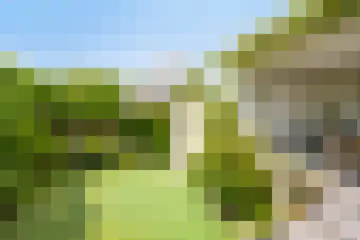 Heuvelwal 1 Veldhoven thumbnail 39