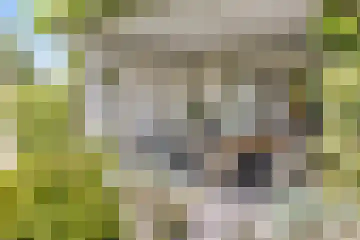 Heuvelwal 1 Veldhoven thumbnail 40