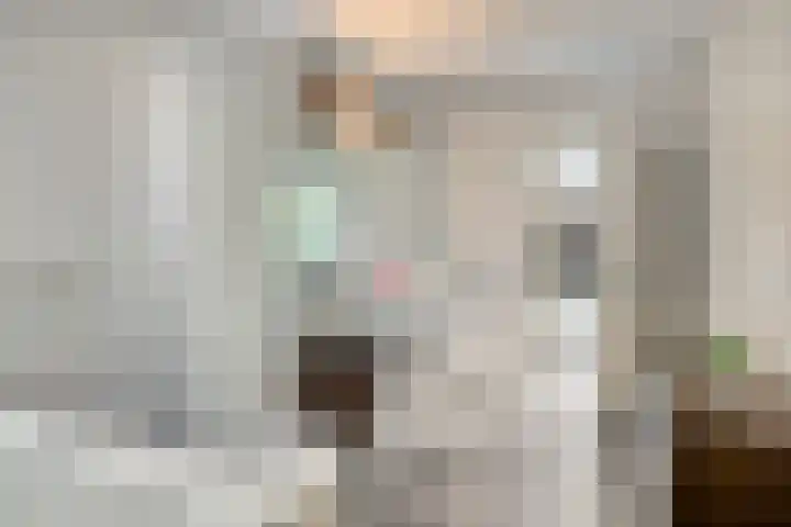 Heuvelwal 1 Veldhoven thumbnail 45