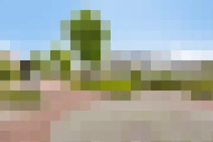 Heuvelwal 1 Veldhoven thumbnail 65