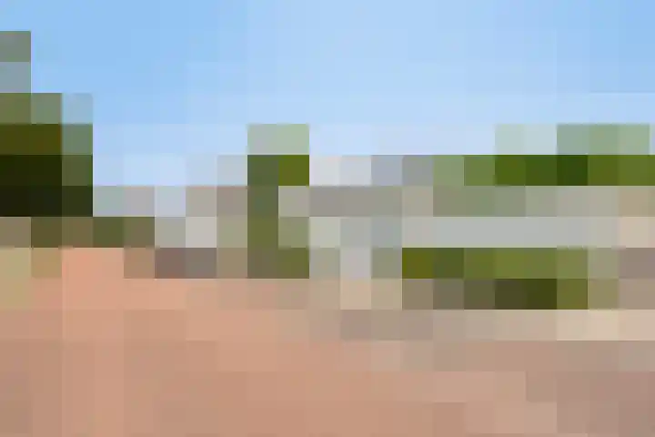 Heuvelwal 1 Veldhoven thumbnail 66