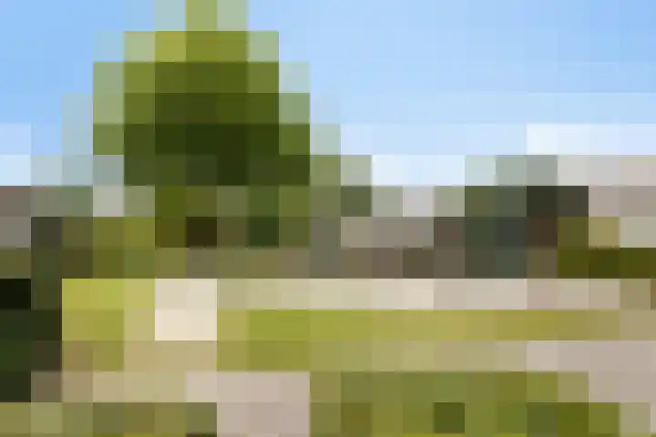 Heuvelwal 1 Veldhoven thumbnail 67