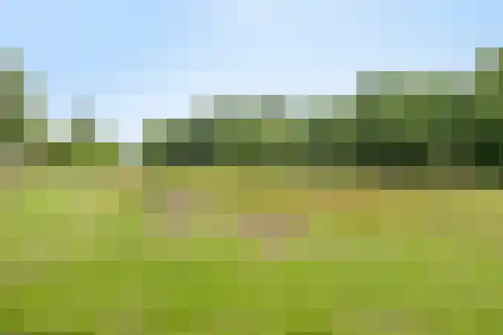 Heuvelwal 1 Veldhoven thumbnail 68