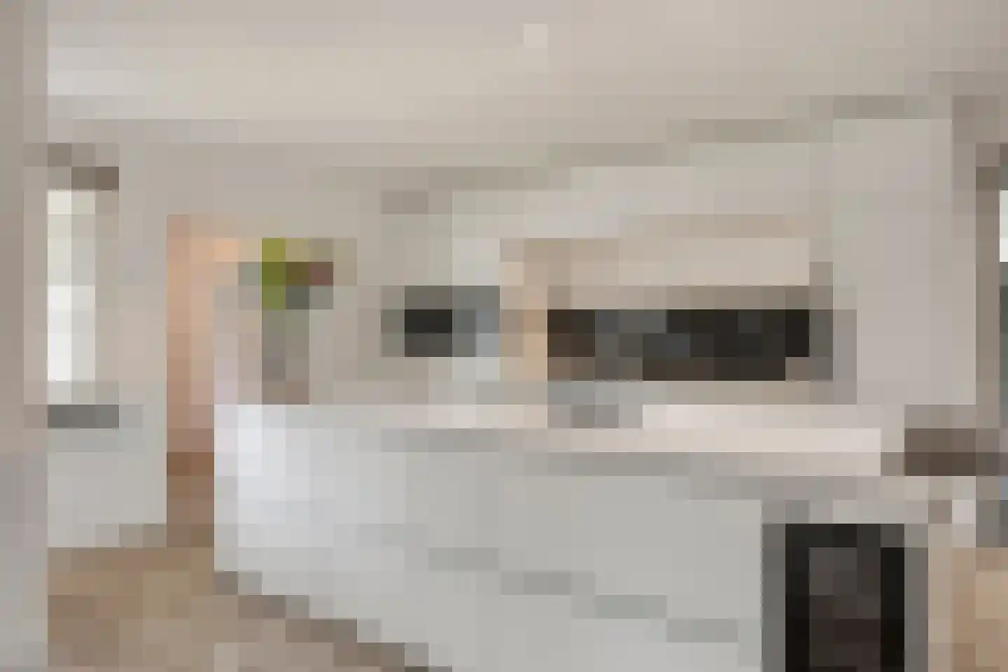 Heuvelwal 18 Veldhoven thumbnail 7