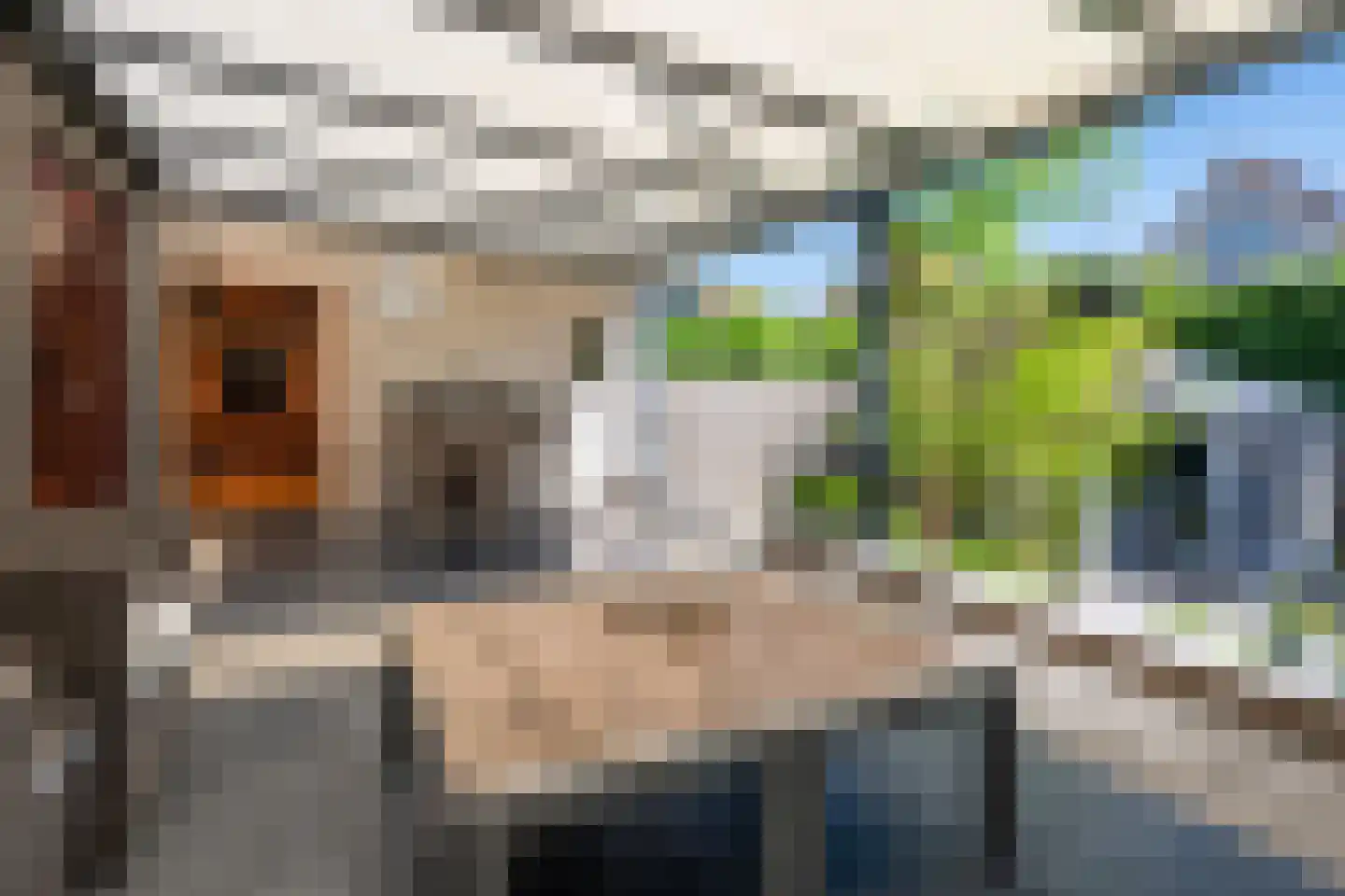 Heuvelwal 25 Veldhoven thumbnail 41