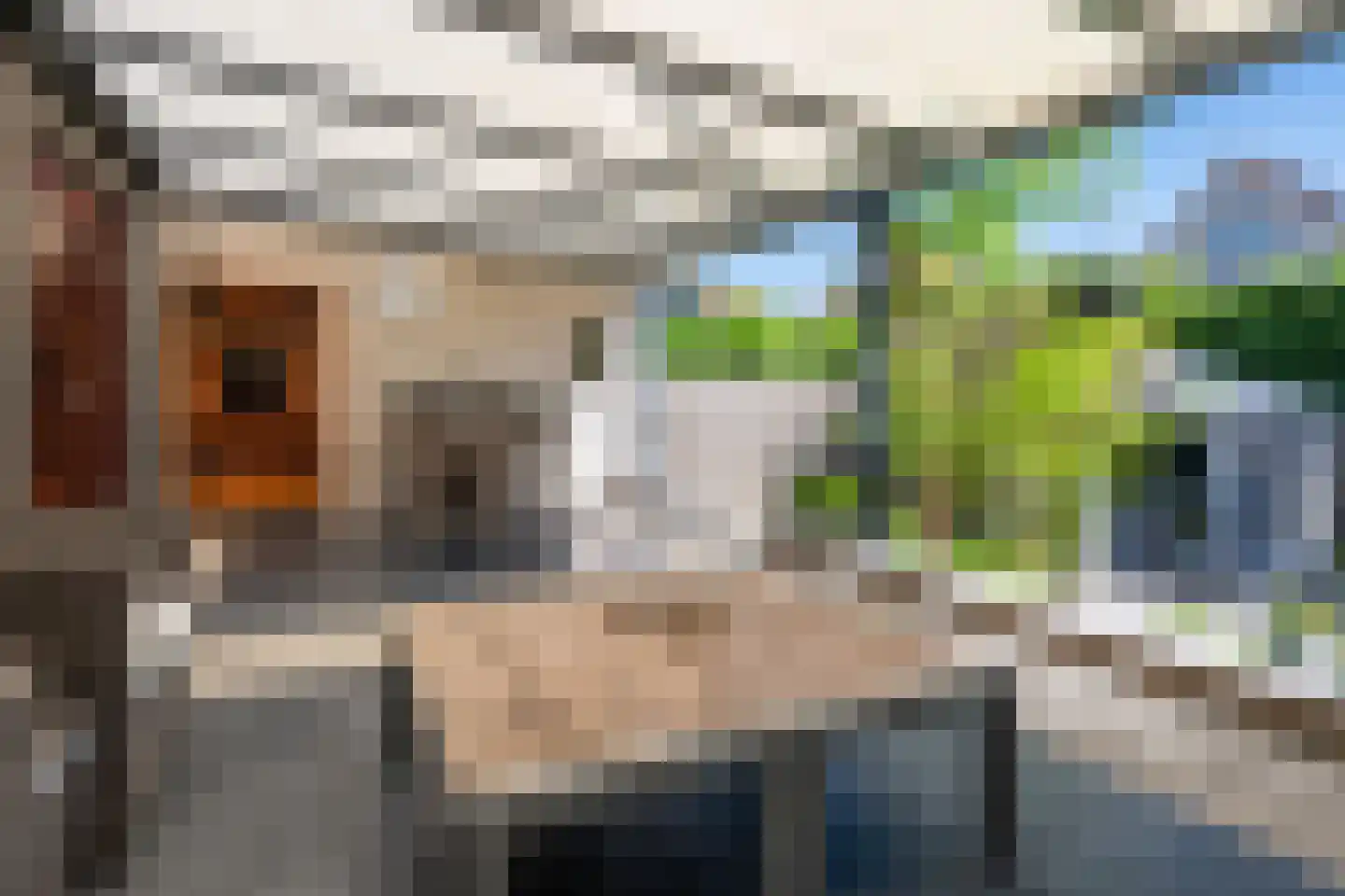 Heuvelwal 25 Veldhoven thumbnail 42