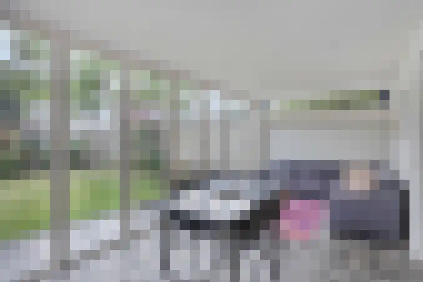 Heuvelwal 26 Veldhoven thumbnail 19