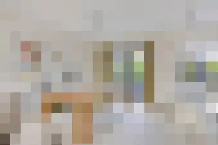 Heuvelwal 27 Veldhoven thumbnail 13
