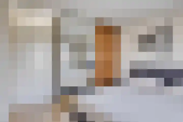 Heuvelwal 27 Veldhoven thumbnail 22