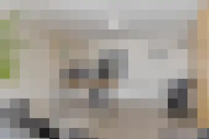 Heuvelwal 27 Veldhoven thumbnail 33