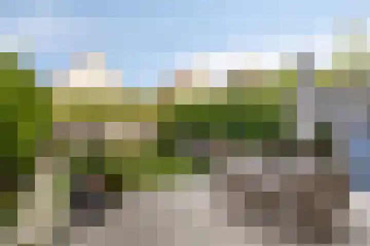 Heuvelwal 27 Veldhoven thumbnail 36