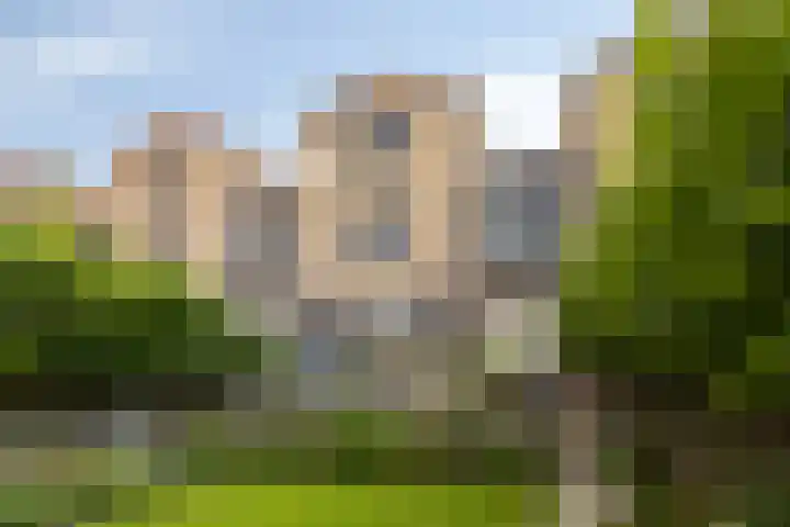 Heuvelwal 27 Veldhoven thumbnail 39