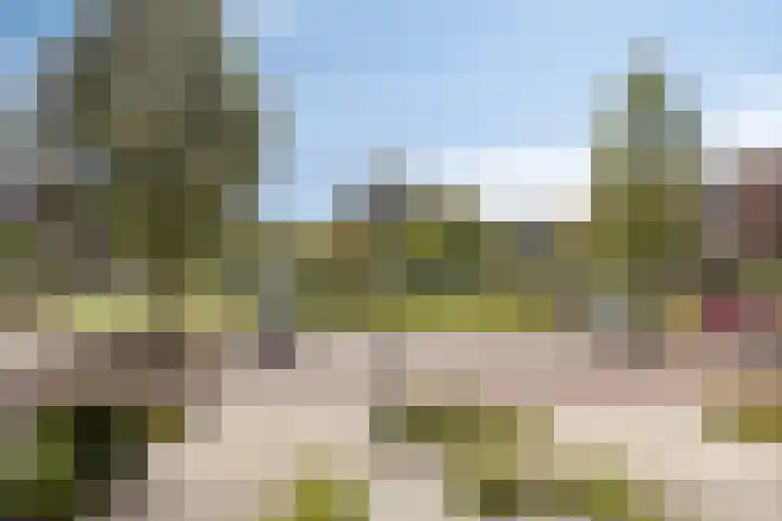 Heuvelwal 27 Veldhoven thumbnail 41