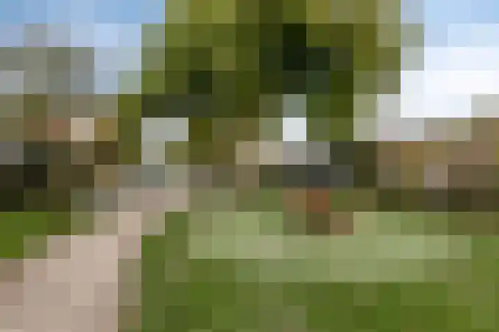 Heuvelwal 27 Veldhoven thumbnail 44