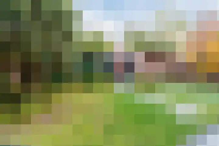 Heuvelwal 36 Veldhoven thumbnail 56