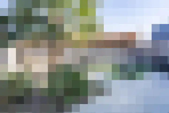 Heuvelweg 100 Weert thumbnail 32