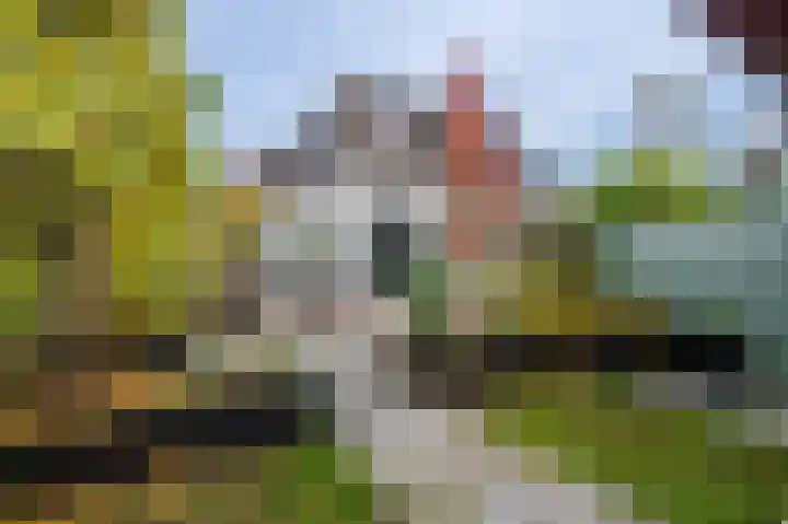 Heuvelweg 11 Doorn thumbnail 31