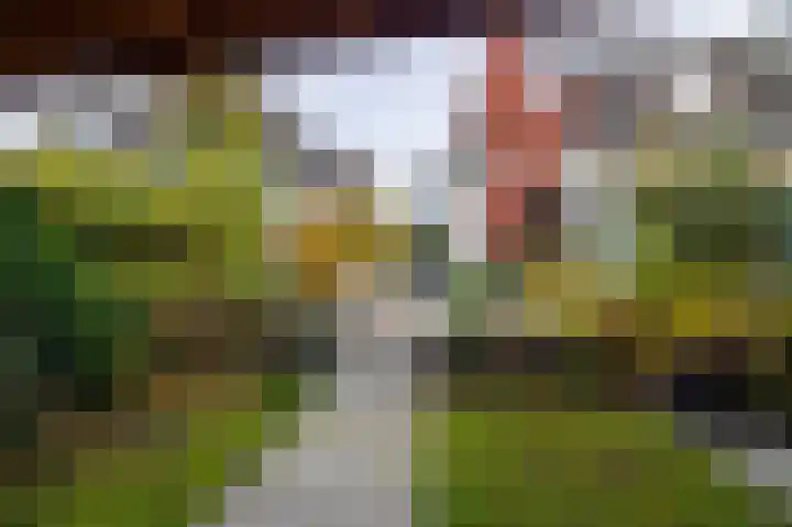 Heuvelweg 11 Doorn thumbnail 33