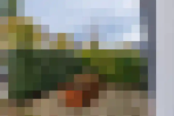 Heuvelweg 11 Doorn thumbnail 4