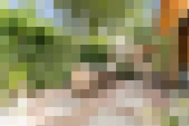 Heuvelweg 2 A Soest thumbnail 35