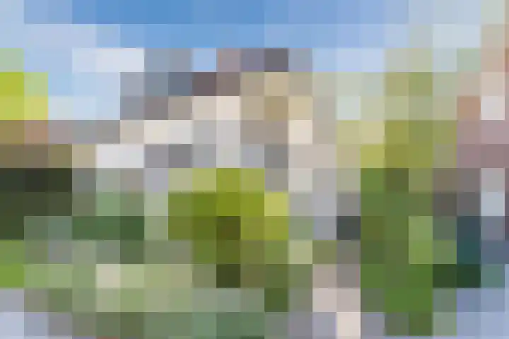 Heuvelweg 2 A Soest thumbnail 41