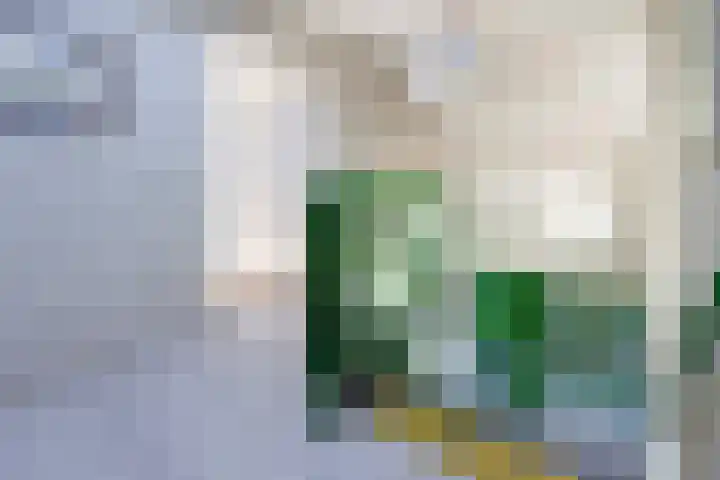 Heuvelweg 2 c Doorn thumbnail 5