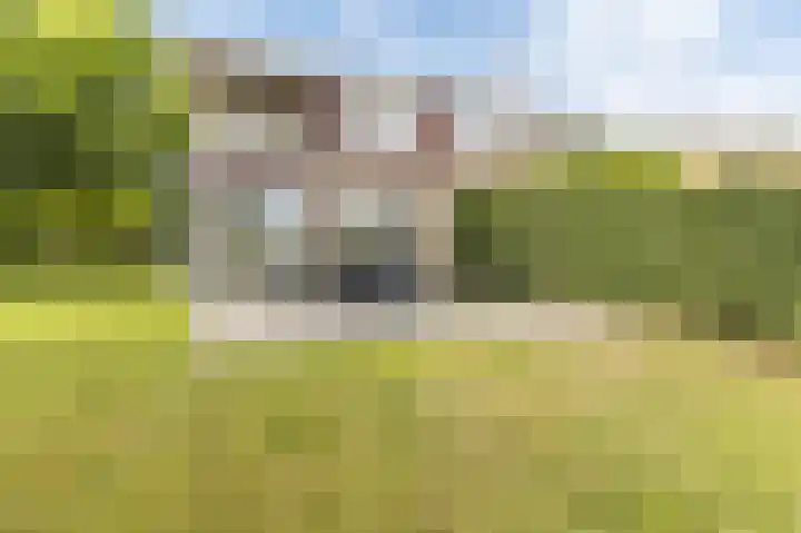 Heuvelweg 2 Vlagtwedde thumbnail 34