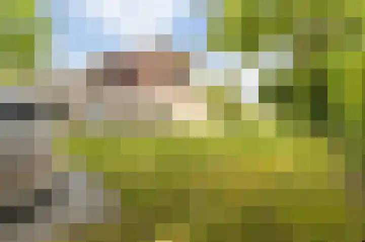 Heuvelweg 2 Vlagtwedde thumbnail 35