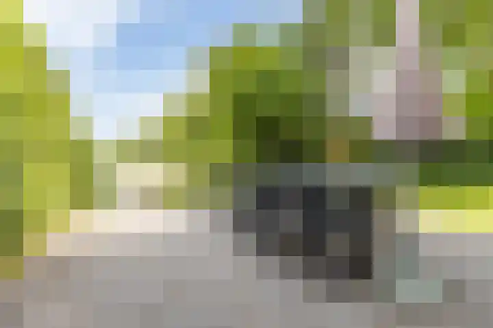 Heuvelweg 2 Vlagtwedde thumbnail 36