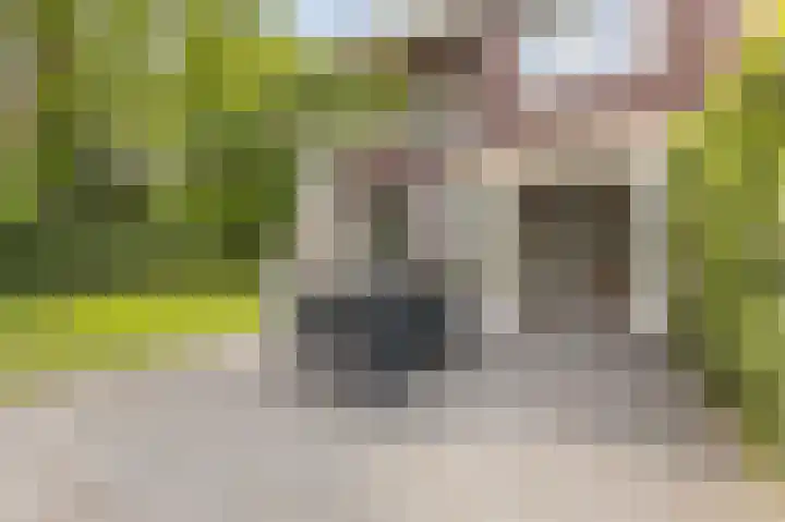 Heuvelweg 2 Vlagtwedde thumbnail 37