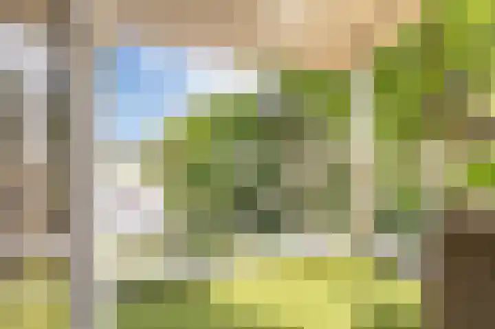 Heuvelweg 2 Vlagtwedde thumbnail 38