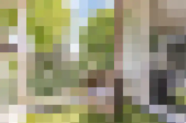 Heuvelweg 2 Vlagtwedde thumbnail 39