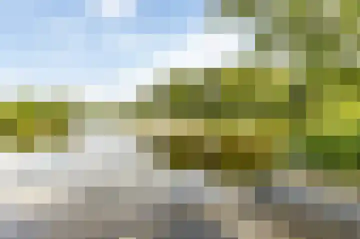 Heuvelweg 2 Vlagtwedde thumbnail 40