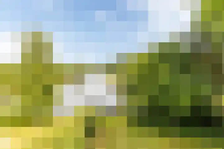 Heuvelweg 2 Vlagtwedde thumbnail 41